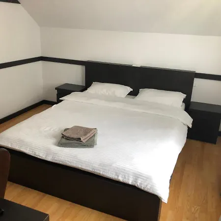 Pensiunea Alyna Guest house