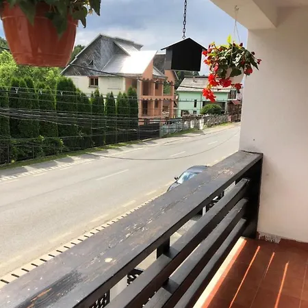 Pensiunea Alyna Guest house *