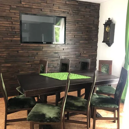 Guest house Pensiunea Alyna