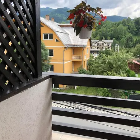 Pensiunea Alyna Borsa (Maramures)