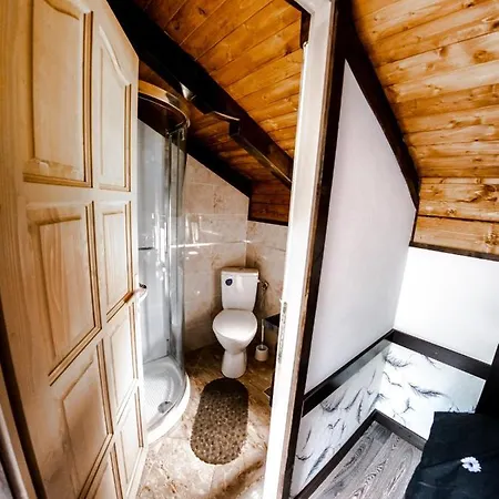 Guest house Pensiunea Alyna Borsa (Maramures)