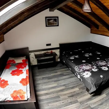 Guest house Pensiunea Alyna