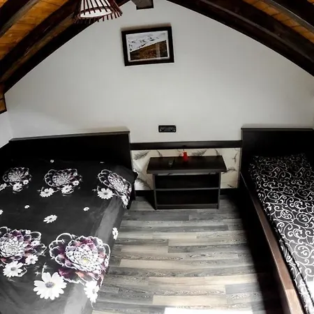 Pensiunea Alyna Guest house