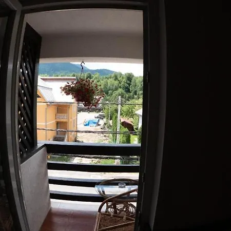 Pensiunea Alyna Guest house *