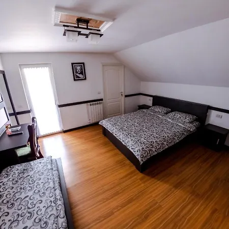 Pensiunea Alyna Guest house